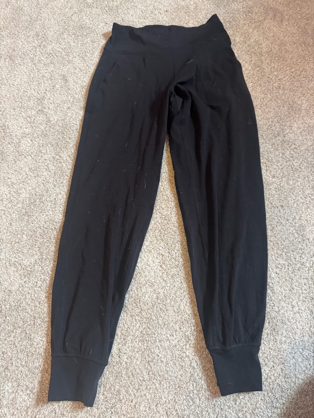 Align jogger 28”